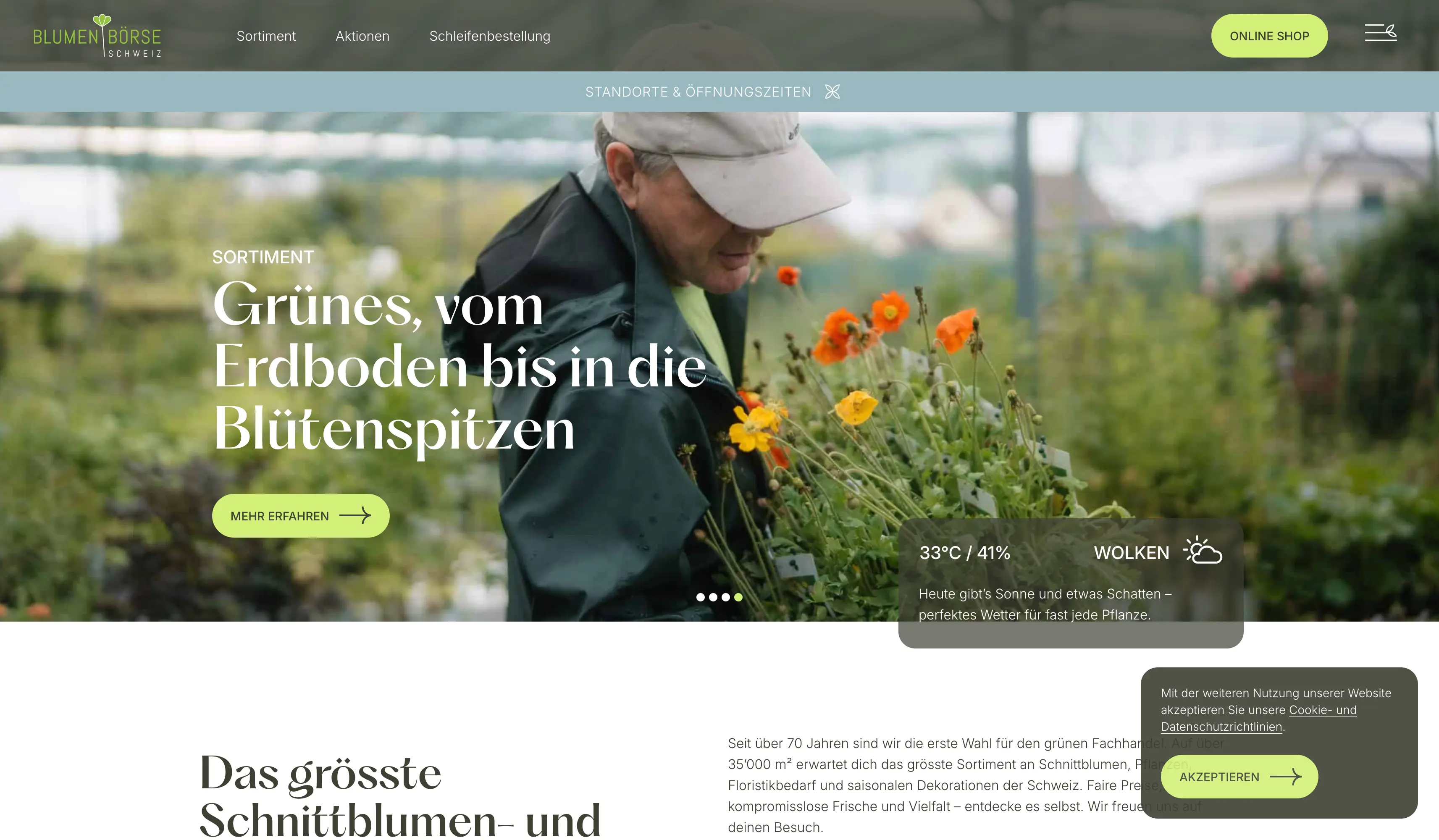 Screenshot Blumenbörse